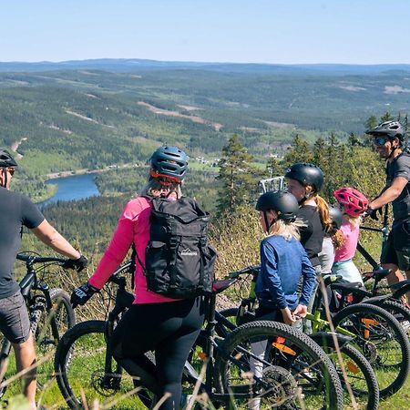 Lyxig Stuga Pa Branaesberget Syssleback Ngoại thất bức ảnh