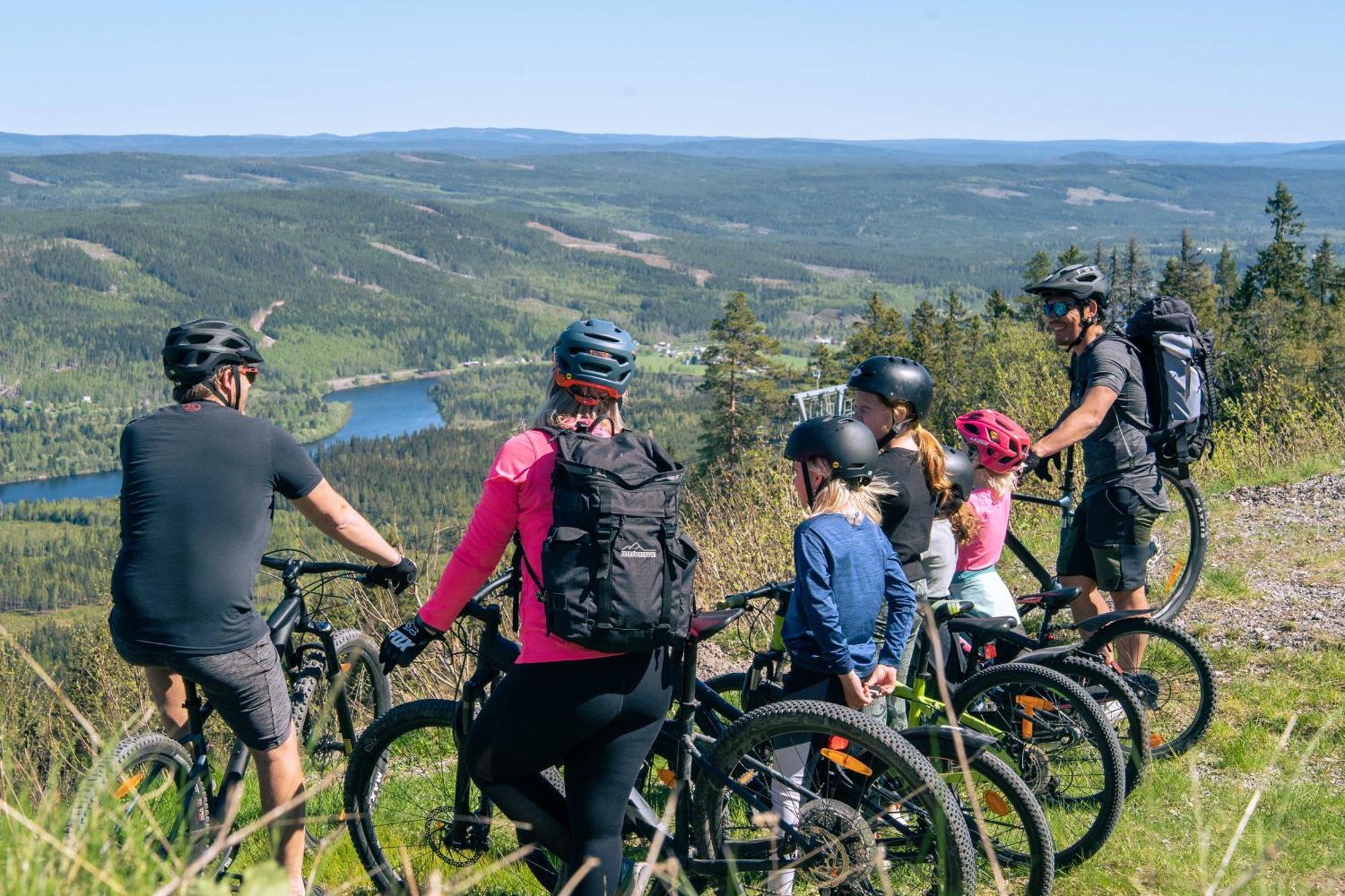 Lyxig Stuga Pa Branaesberget Syssleback Ngoại thất bức ảnh